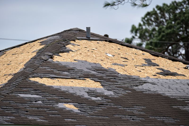 Storm Damage Restoration Experts